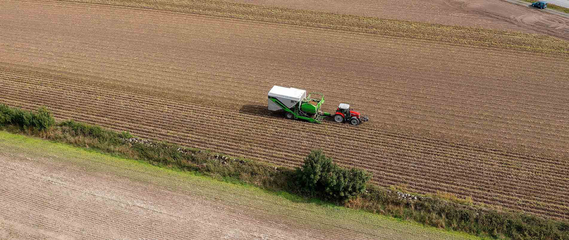 “探、收、烘、运”，看乐天使官方如何四管齐下一站式保障秋收果实