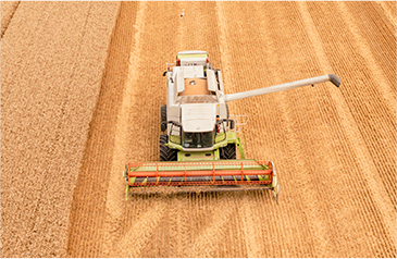 收——加大收割自动化力度，利用智能收获系统，保种保收，提产提质