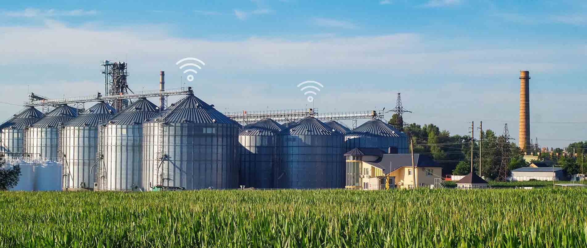 乐天使官方助力夏粮存储新招式，科技手段更有效