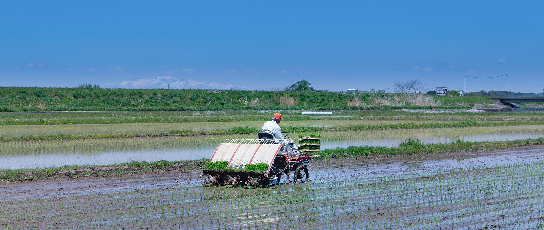 农机水田作业的“智慧大脑”——沃地泰FMA210，告别“经验种植”，开启精准高效农业之旅